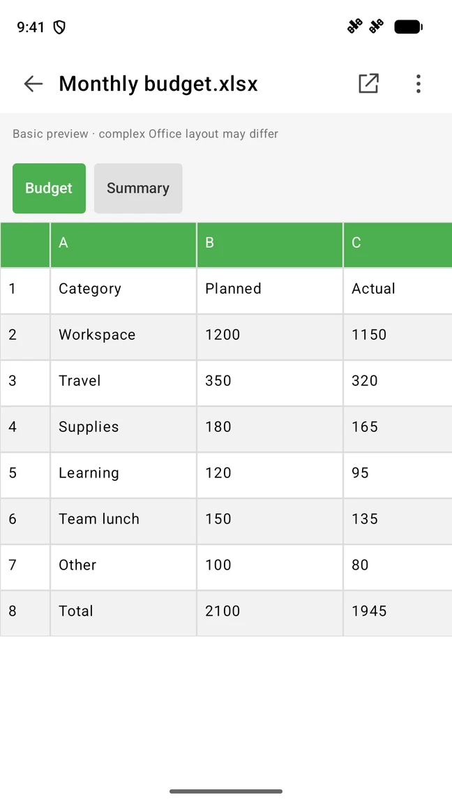 Excel preview showing Budget and Summary worksheet tabs and sample budget cell values.